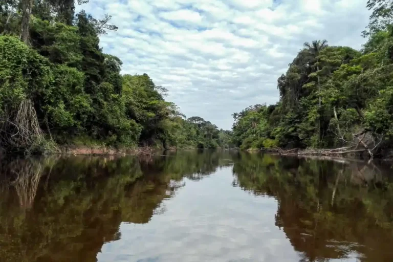 reserva nacional pacaya samiria